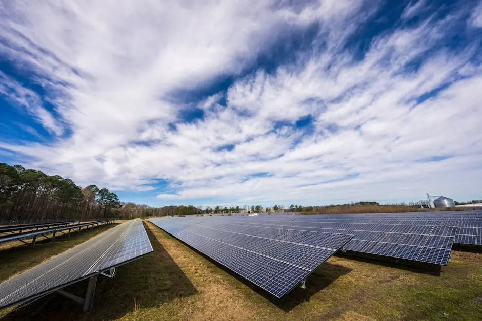 12 Amazing Facts About Solar Panels and Sustainable Energy